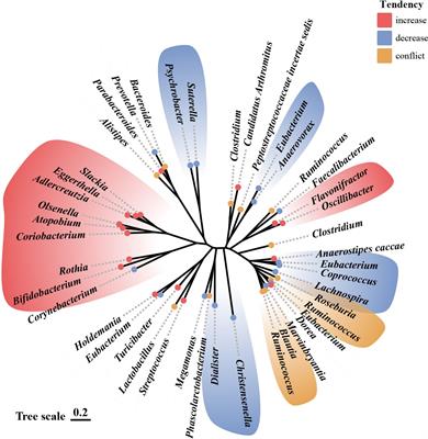 Adverse childhood experience and depression: the role of gut microbiota